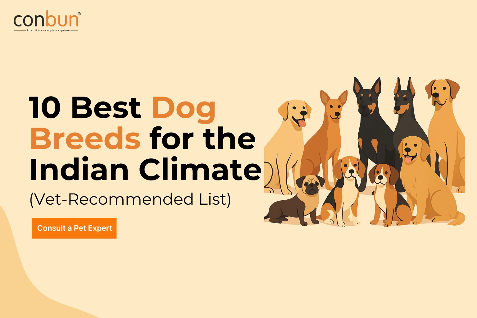 10 Best Dog Breeds for the Indian Climate (Vet-Recommended List)
